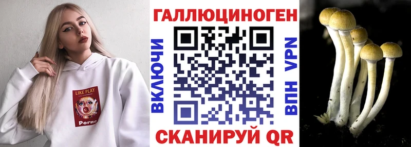Псилоцибиновые грибы мицелий  hydra как войти  Ладушкин 